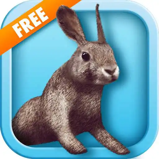Free play online Bunny simulator v1.0.1 [Msi8]  APK